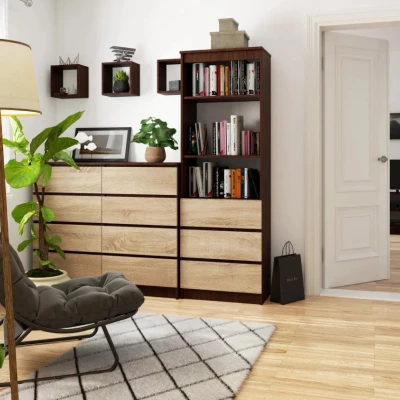 VALESTRA Regal mit Schubladen – Wenge/Sonoma-Eiche