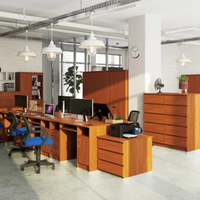KARLION Computertisch - Erle