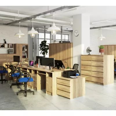 KARLION Computertisch – Sonoma Eiche