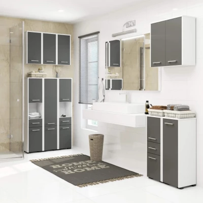 Kleiner Badezimmerschrank MERALYA - weiß/grau