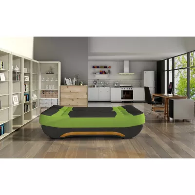 FAELINA Zweisitzer-Sofa - schwarz/grün