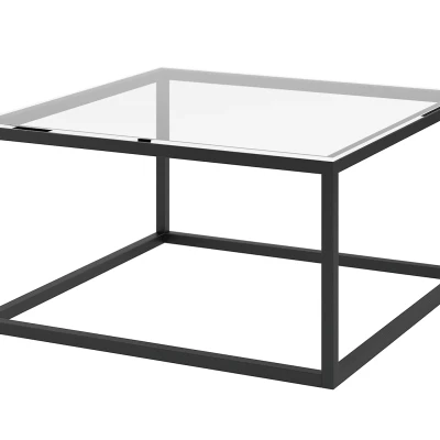 Couchtisch SYLVAN - transparent / schwarz
