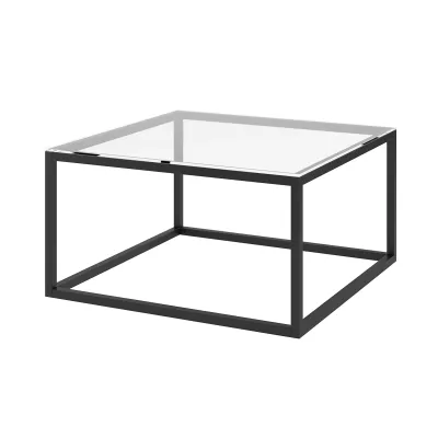 Couchtisch SYLVAN - transparent / schwarz