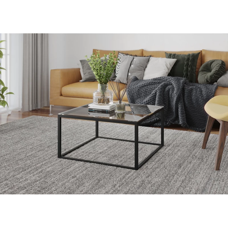Couchtisch SYLVAN - transparent / schwarz