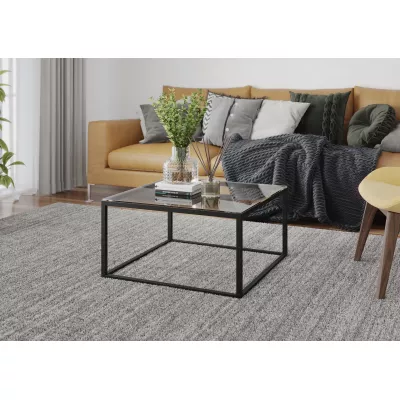 Couchtisch SYLVAN - transparent / schwarz