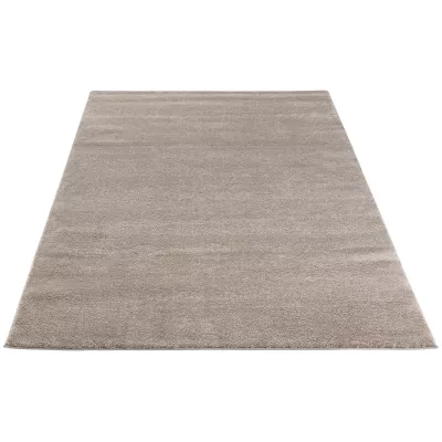 Rechteckiger Teppich 80x150 cm NIKOLAI - beige