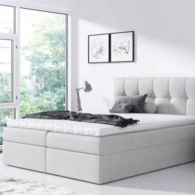 Einzelbett REX 120x220, hellgrau + Matratzenauflage