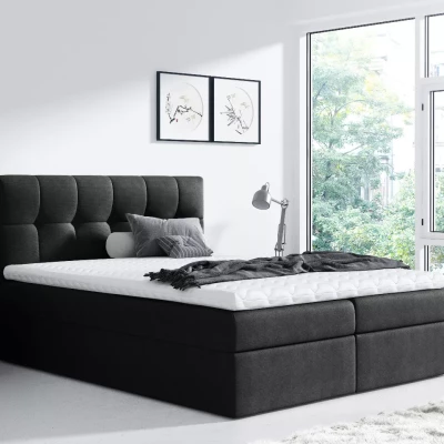 Einzelbett REX 120x220, schwarz + Matratzenauflage