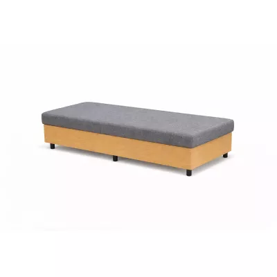 Tagesbett 80x200 ELUNES - hellgrau