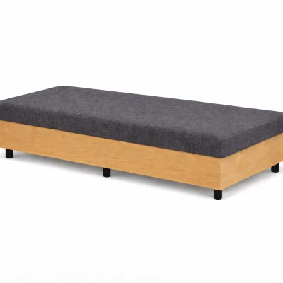Tagesbett 80x200 ELUNES - Dunkelgrau