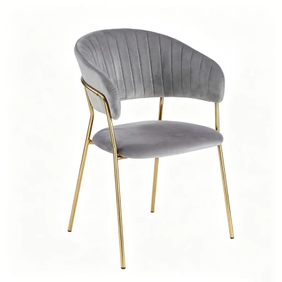 RONIL Polsterstuhl für Esszimmer – Grau/Gold