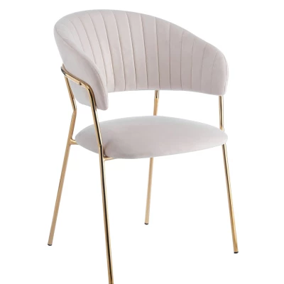 RONIL Polsterstuhl für Esszimmer – Beige/Gold