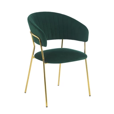 RONIL Polsterstuhl für Esszimmer - grün/gold