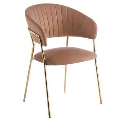 RONIL Polsterstuhl für Esszimmer – Cappuccino/Gold