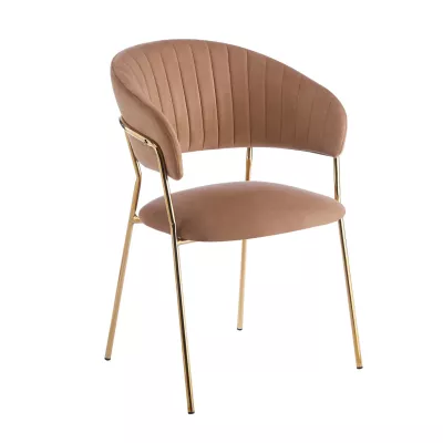 RONIL Polsterstuhl für Esszimmer – Cappuccino/Gold