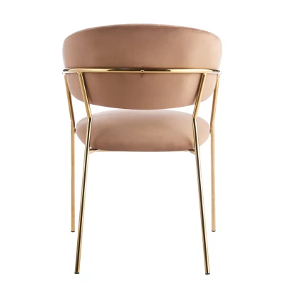 RONIL Polsterstuhl für Esszimmer – Cappuccino/Gold