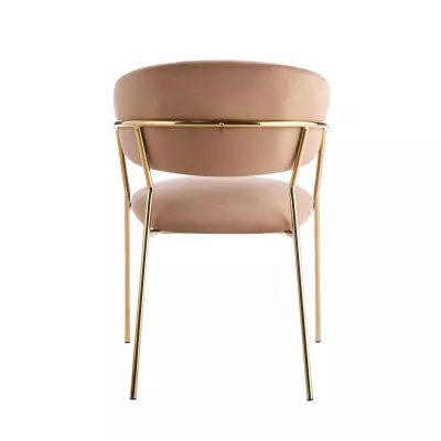 RONIL Polsterstuhl für Esszimmer – Cappuccino/Gold