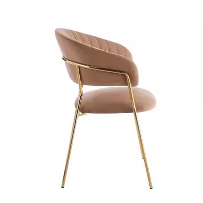 RONIL Polsterstuhl für Esszimmer – Cappuccino/Gold