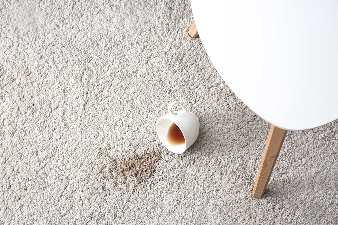 Kaffee macht unangenehme Flecken, aber man bekommt sie weg. Sie müssen nur schnell handeln. Idealerweise, bevor Sie Ihren zweiten Kaffee zubereiten.